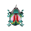 Beetle Paul