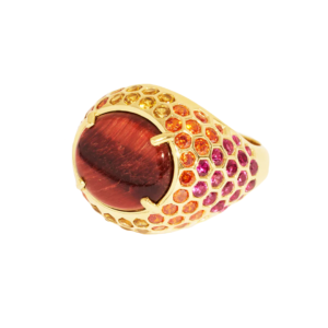 Ring Tortue in Oeil De Tigre